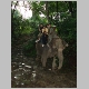 26. de olifanten zakken vaak diep weg in de modder.JPG